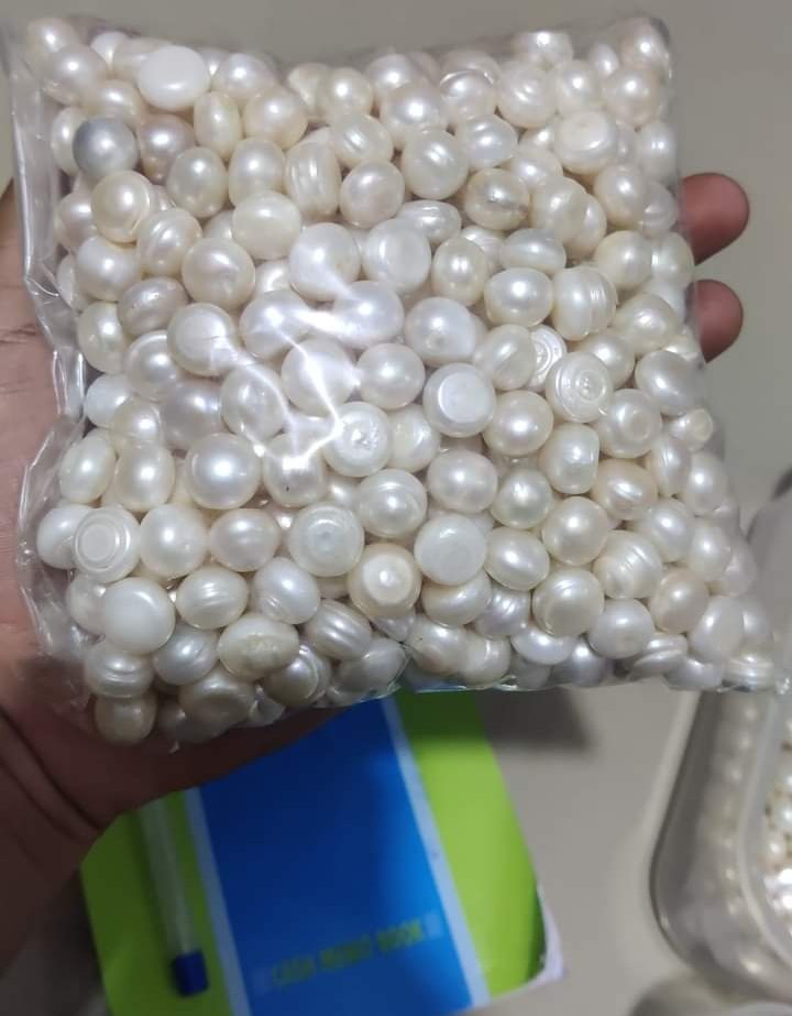 Shell Beads