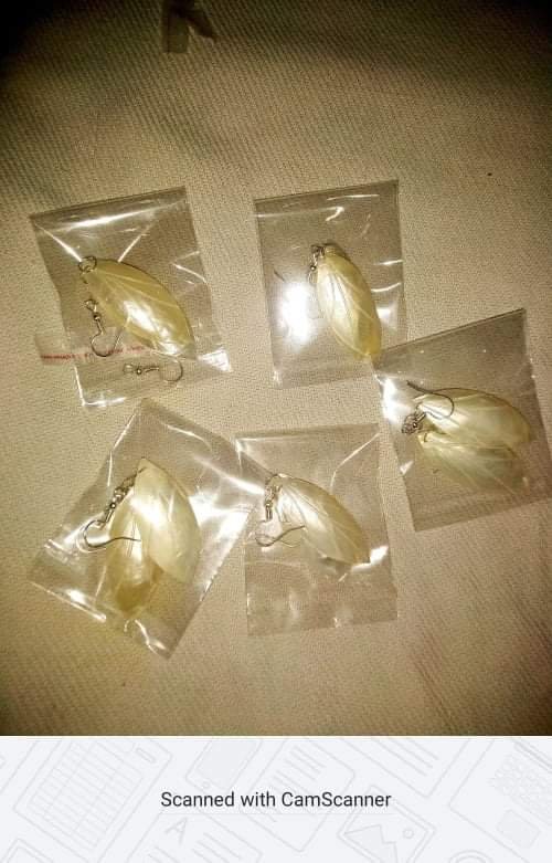 Shell Earrings