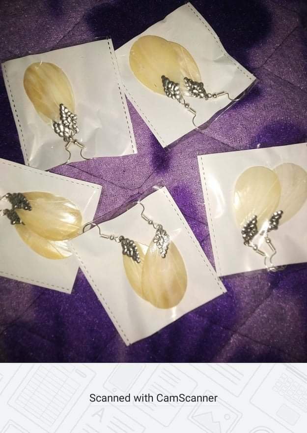 Classic Shell Drop Earrings