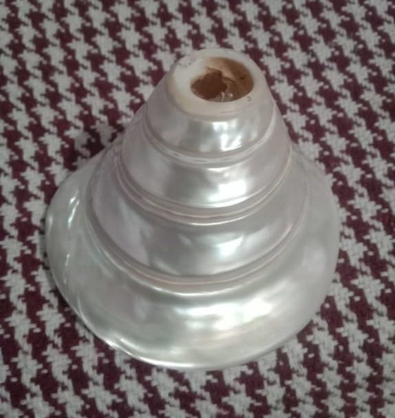 White Shell Sindur Dani